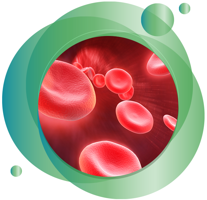 Car-T Cell Therapy Service
